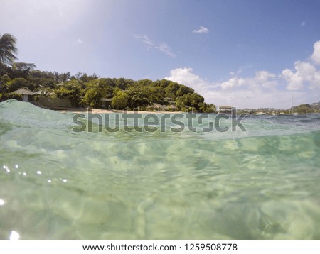 Young Island, Saint Vincent And The Grenadines Caribbean sea