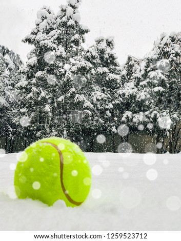 Tennis christmas ball on the snow on Christmas trees background, and falling snowflakes. Concept of Color of the Year 2021 with bright illuminating yellow and gray colours.
