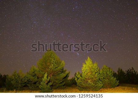 Orion constellation above a night prairie with pine trees