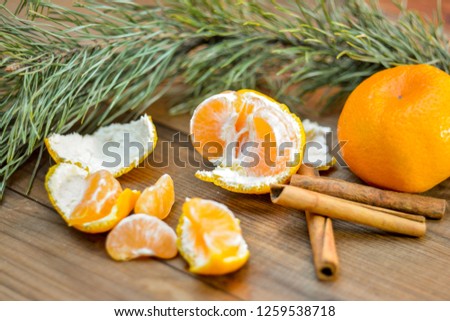 Tangerines, cinnamon sticks and a branch of spruce on a wooden background. Winter mood. In anticipation of Christmas and New Year.