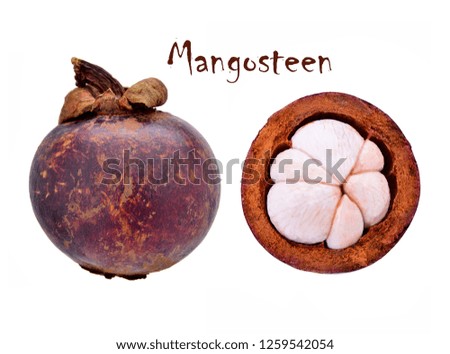Mangosteen stock image