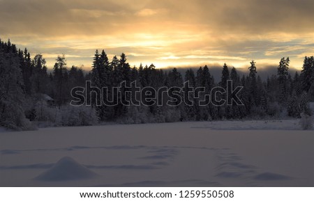 Spectacular bright winter and snowy environment nature landscape - woodland, frozen lake and sundown in the evening - rural traveling  - natural and real - Kongsvinger, Norway