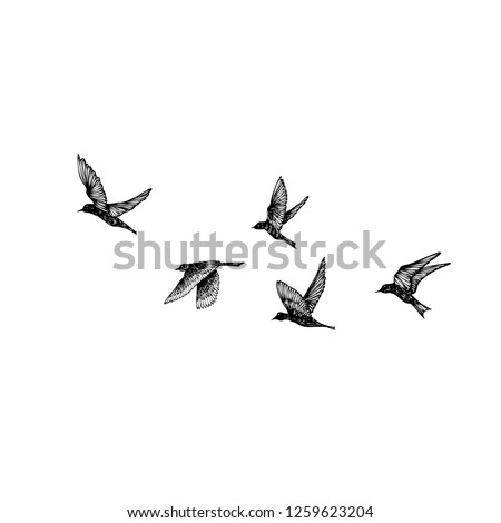 Set of black hand drawn strokes birds, flock. Drawing sketch. On white background. Inspirational body flash tattoo ink.  Vector.