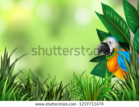Parrot on the green nature background illustration
