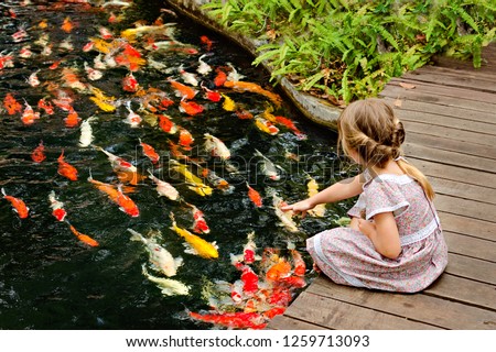 little girl feeding colorful fish in a zoo. Thailand. Phuket Botanic Garden.