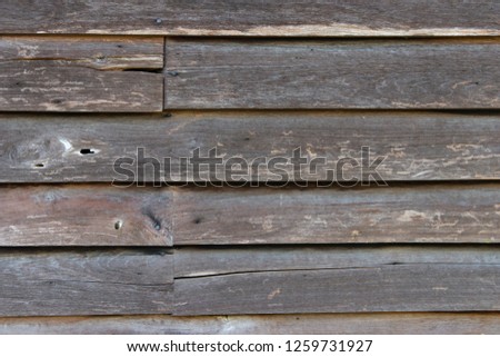 Wood texture background, wooden wall