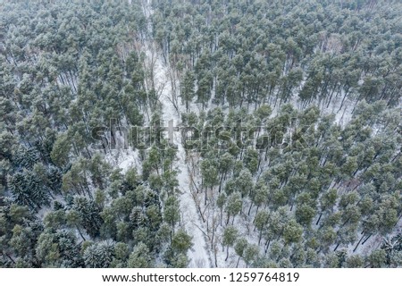 snowy forest landscape on cold winter day. road in winter forest. aerial view