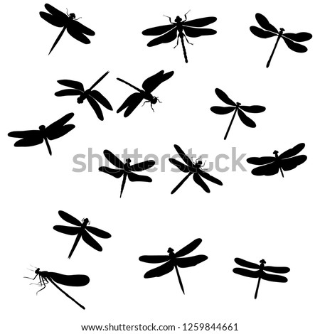 set of dragonfly silhouettes, insects, on white background Royalty-Free Stock Photo #1259844661