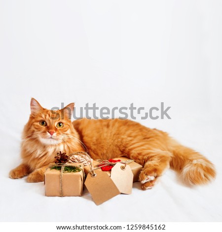 Cute ginger cat with stack of Christmas presents. New Year gifts are wrapped in craft paper and have clear tags for your text.