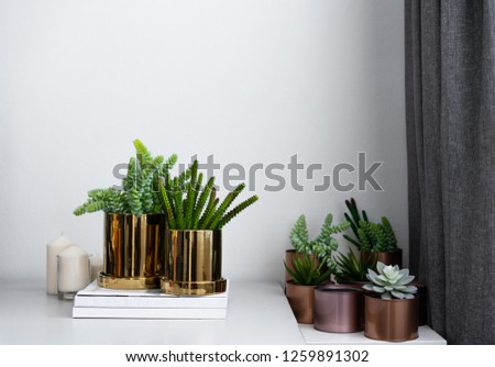 Composition of gold mirror ceramic pots with artificial plants inside setting on minimal books and group of copper aluminium pots in natural light setting scene / cozy interior concept / decoration 