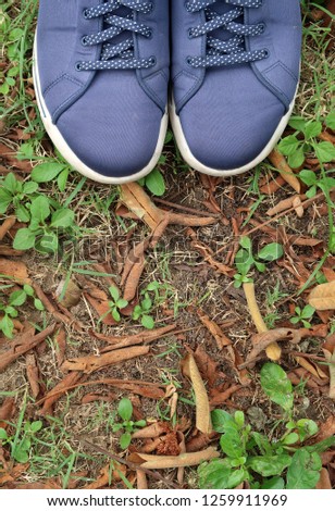 A pair of  blue walking sneakers shoes on the grass background with some blank space