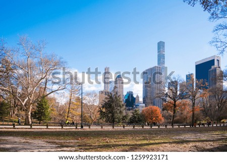 Autumn in New York,Central Park.
We can see colorful autumn leaves and Manhattan skylines in Central Park.
