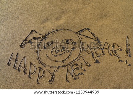 The picture of the funny pig head on the sand in the Crand Canaria beach. The symbol of the coming year 2019. The inscription is "Happy New Year"