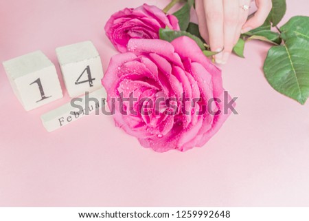 valentines day and holidays concept - close up of wooden calendar with 14th february date,  and pnk rose with water drops in female hand