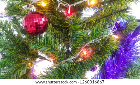 Christmas tree  background with christmas decoration and free space  : Happy and holiday background  concept