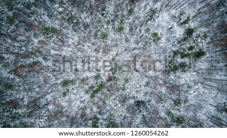 Aerial view of snow covered forest in winter.