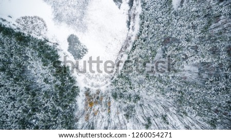 Frozen pond in forest, winter season, aerial view.