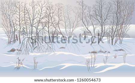 Winter landscape with snowdrifts and forest trees can be successfully used as a background image. Royalty-Free Stock Photo #1260054673