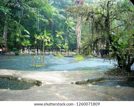 Rain hour in forest Rodrigues Alves, Amazon, Para, Brazil Royalty-Free Stock Photo #1260071809