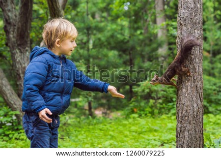 Boy and little squirrel in the park