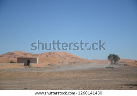 Merzouga is a small Moroccan town in the Sahara Desert, near the Algerian border. Camel is one of the major transport in the desert.