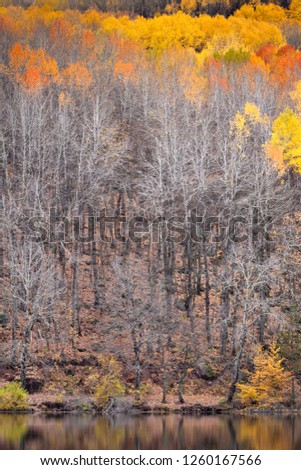 Autumn landscape photography. Colorful forest background. Ankara, Cubuk, Karagol. Turkey. 