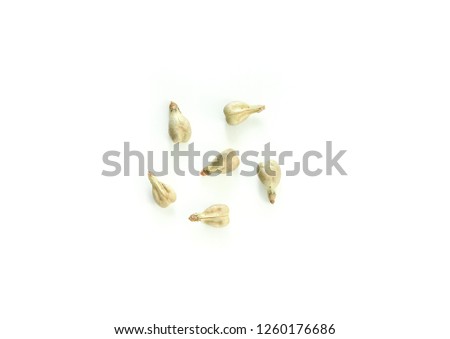 Grape seed on white background