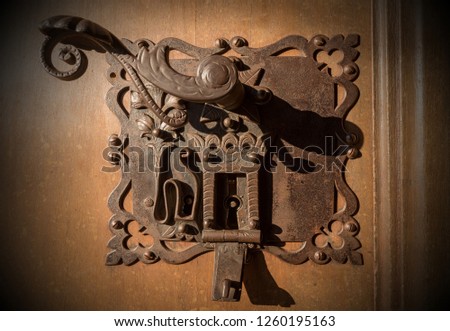 Close-up of a wooden door with an ancient wrought iron lock with two keyholes and a handle