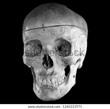 Human skull anatomy on black color background