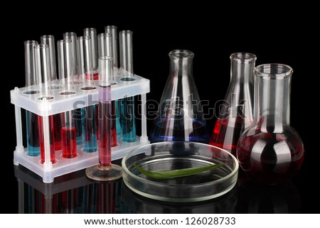 Test-tubes and green leaf tested in petri dish, isolated on black