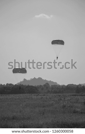 
Black and white picture jump of paratrooper with white parachute, Military parachute jumper in the sky.