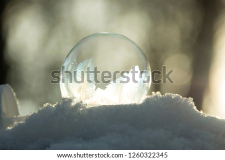 Frozen bubble on the snow with a bokeh in the background. Beautiful frosty patterns on the frozen soap bubble.