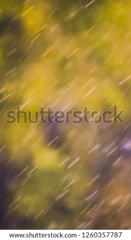 photo of Pouring Rain. Blurred heavy rain with many droplets and green nature blurry background