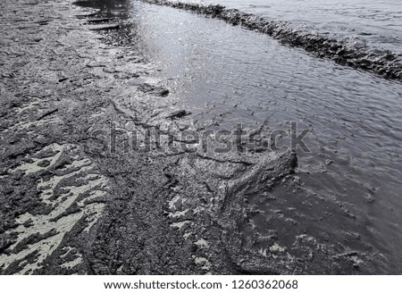 Black mud on the beach 