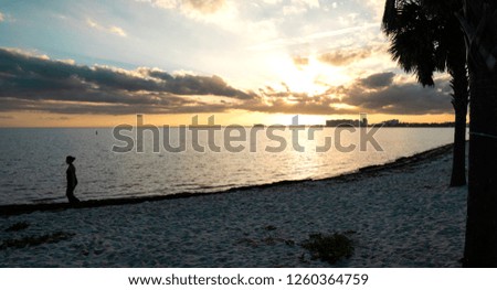 Beautiful beach at sunset and a young girl walking on the sand. Games of lights and shadows outdoors on a summer day next to a deserted beach with palms and an illuminated sun on the horizon.