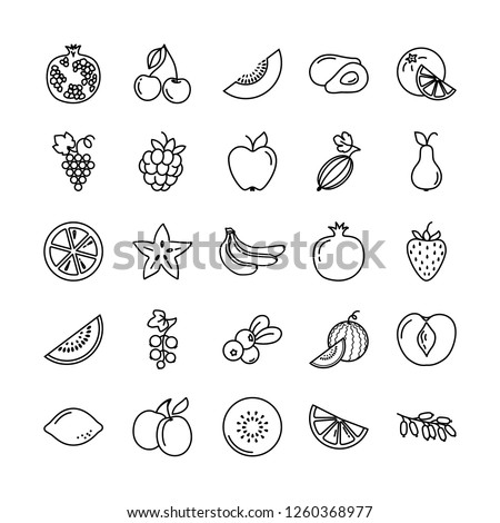 Set of fruits icons illustration background in isolated vector. Perfectly suitable for revision or use for printing in books, publishing on websites. Royalty-Free Stock Photo #1260368977