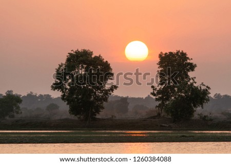 Beautiful sunset over lake and two tree silhouette background