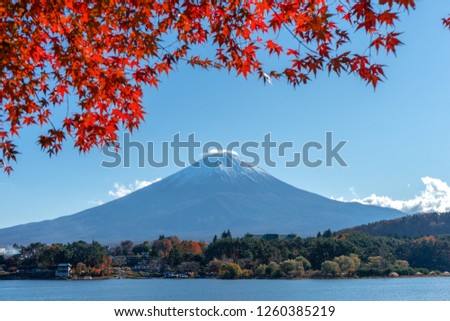 Mountain Fuji with  maple leaves in foreground at lake Kawaguchiko ,Yamanashi Prefecture. One of tourist spot and landmark in Japan.