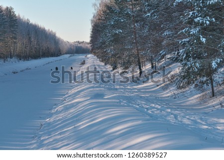 frost on trees winter landscape