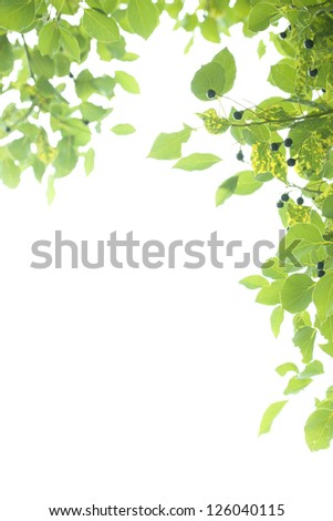 green leaf frame,element for designer