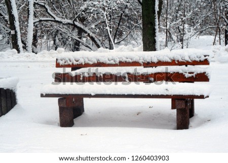 After a heavy snowfall, a city bench in the park. Good New Year spirit.