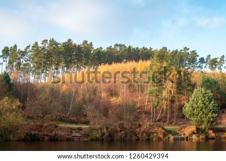 Amazing lake picture from Cannock Chase AONB in November. Staffordshire, United Kingdom, Fairoak pools