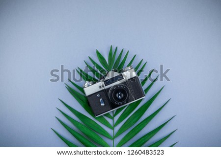 Creative flat lay top view of green tropical palm leaves and old photo camera on blue grey paper background with copy space. Minimal tropical palm leaf plants summer travel concept template