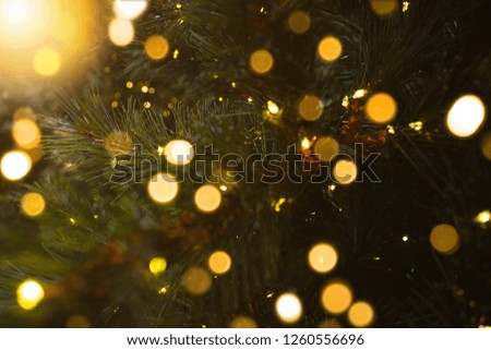 Close-up of a christmas tree branch with tiny lights and beautiful bokeh