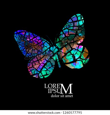 Abstract color butterfly. Vector