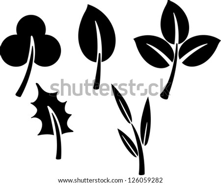 black  leaves. Vector illustration   on white background