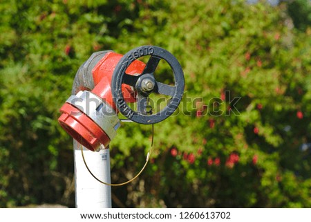 Close up view of fire hydrant in park with blurred natural green background