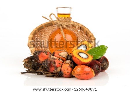 Palm fruits and seeds use to extract oil.