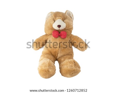 Cute teddy bear doll isolated on white background.