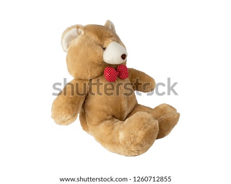 Cute teddy bear doll isolated on white background.